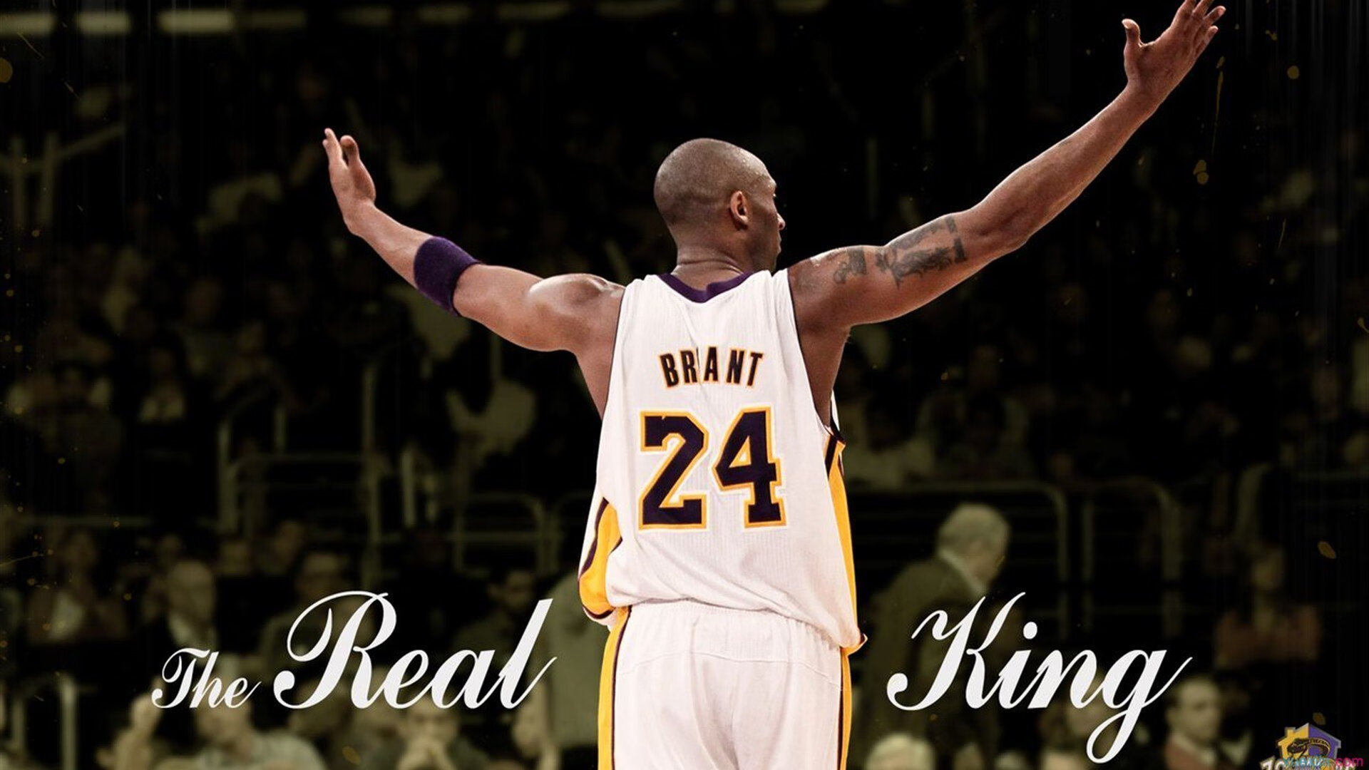 篮球比赛得分效率排行榜